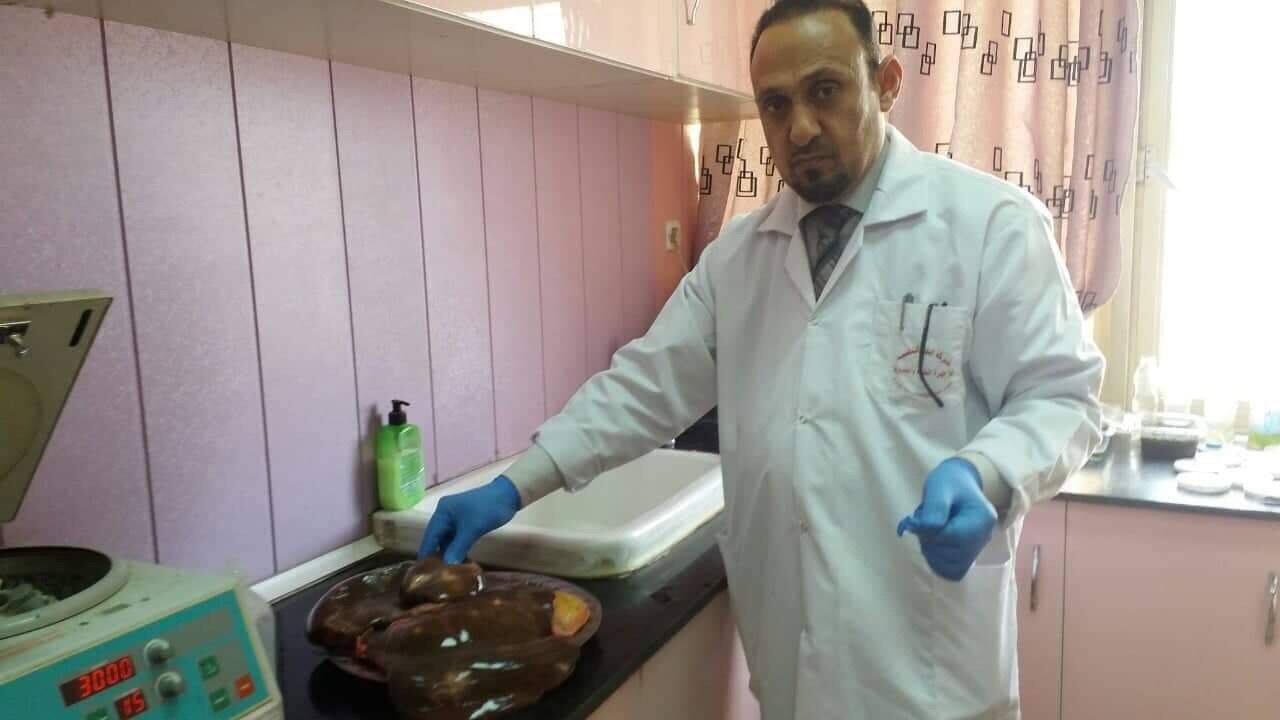 كلية التربية تجري متابعات أسبوعية مختبريا لطلبة الدراسات العليا لإجراء التجارب العملية.