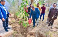 رئيس جامعة القادسية يشارك حملة كلية التربية لزراعة الورود وتوسيع المساحات الخضراء.