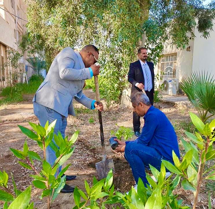 كلية التقانات الاحيائية بجامعة القادسية تنظم حملة تطوعية لزراعة الاشجار وزيادة المساحات الخضراء.