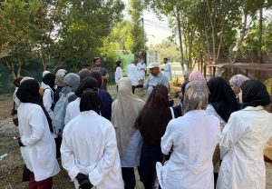 FB_IMG_1763481244948